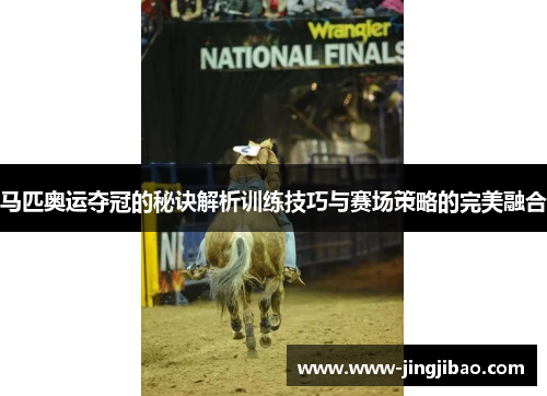 马匹奥运夺冠的秘诀解析训练技巧与赛场策略的完美融合